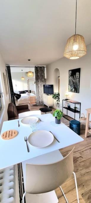 Studio Chic & Garden - Climatisation - Wifi - TV- Parking Apartment in Toulouse