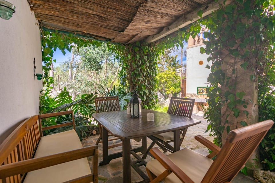 Patio, Other