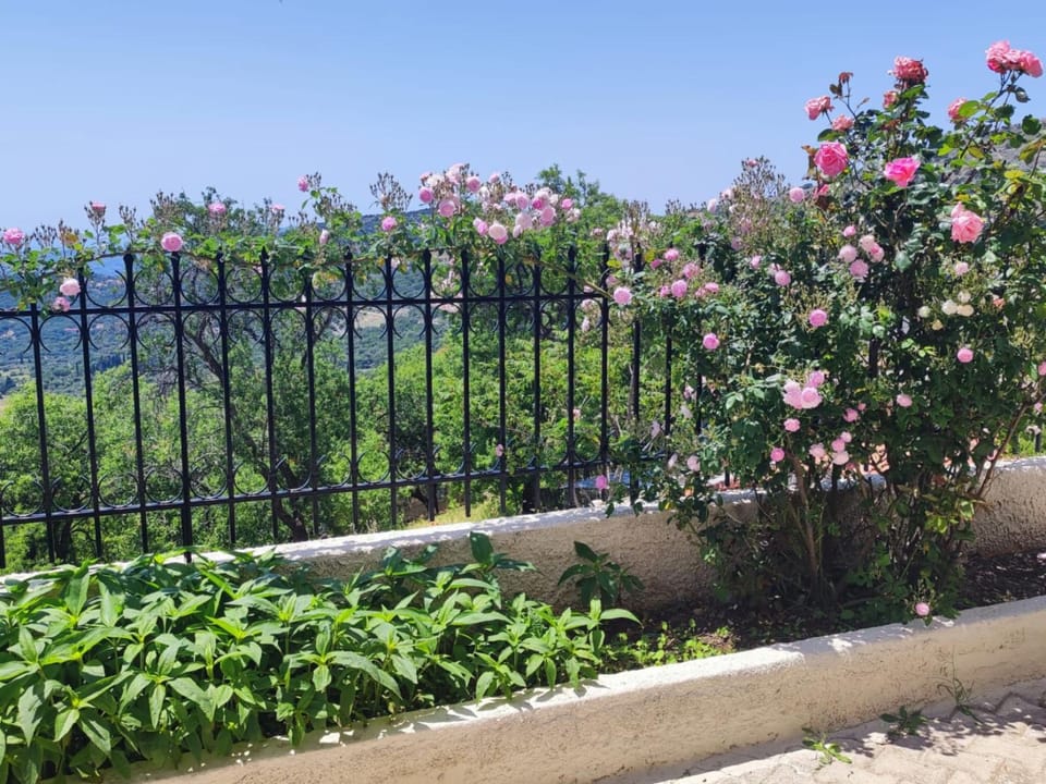 Property building, Spring, Day, Garden view