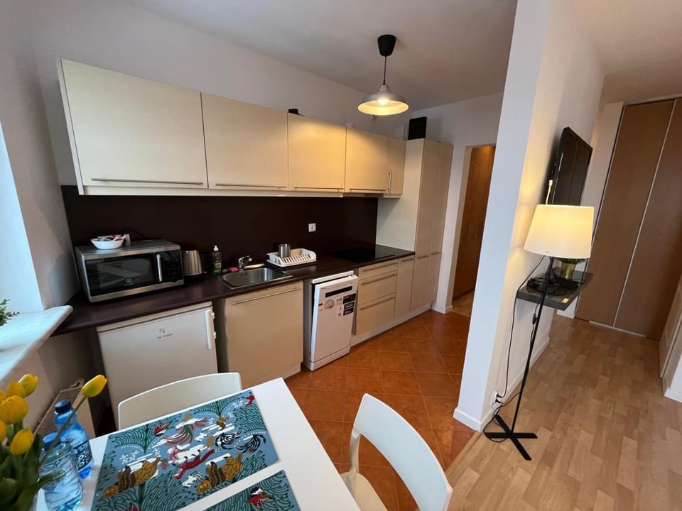 Orzycka Warsaw Studio Apartment in Warsaw