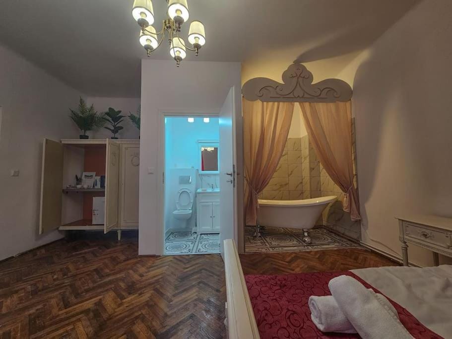 Ludovic Boutique Apartment in Brasov