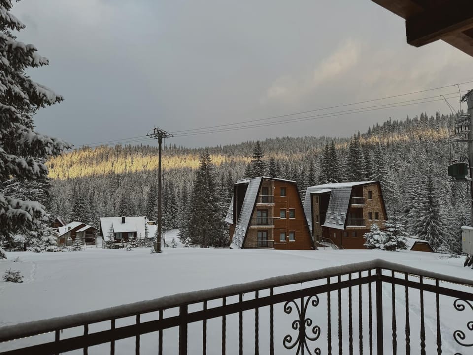 Day, Natural landscape, Winter, View (from property/room), Mountain view