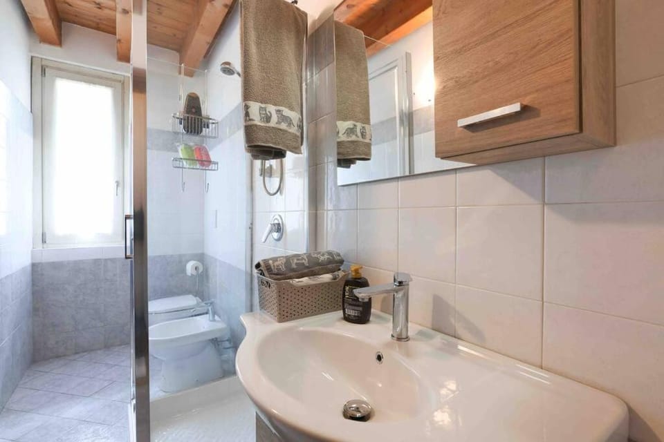 Shower, Toilet, Bathroom, towels