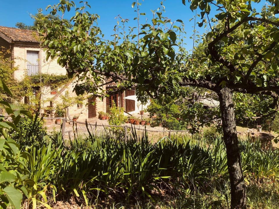 Property building, Garden