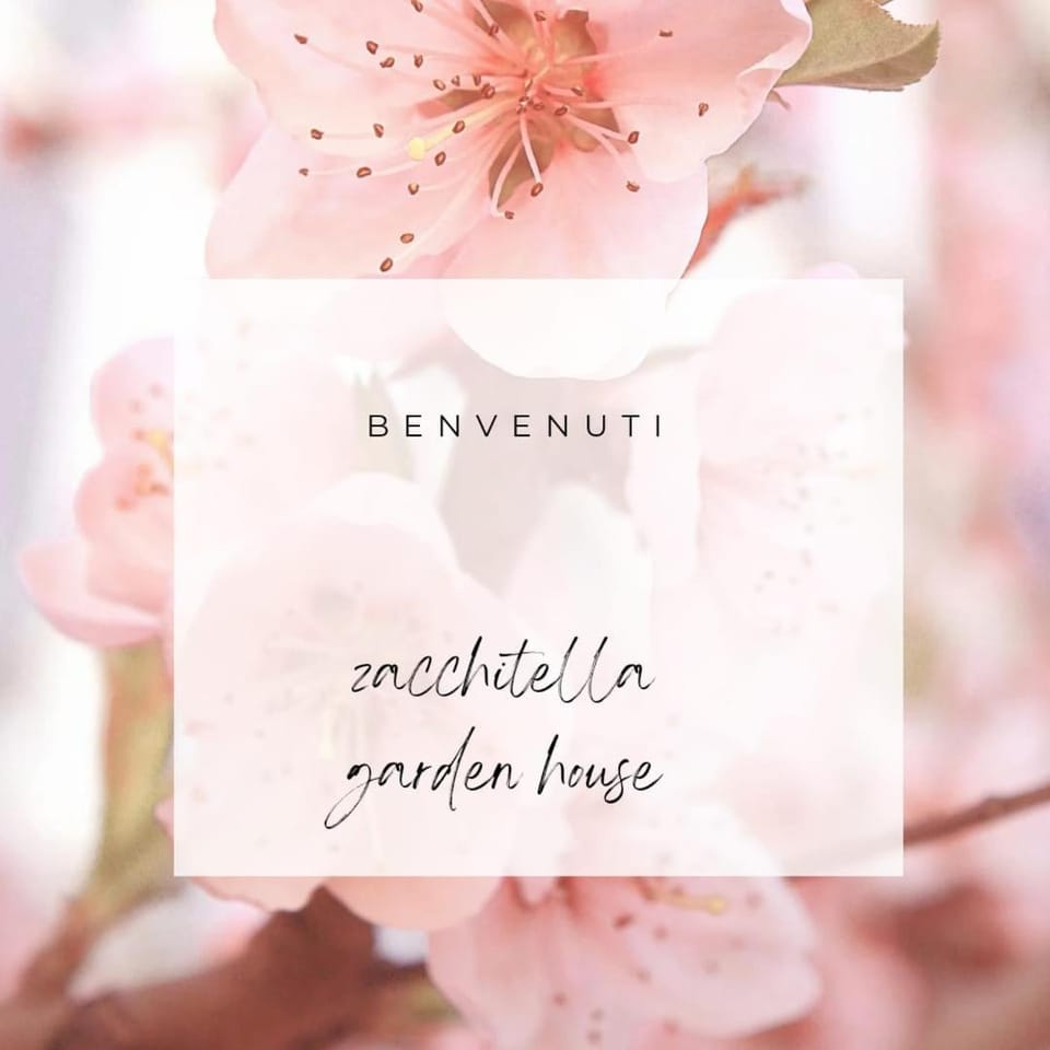Text overlay