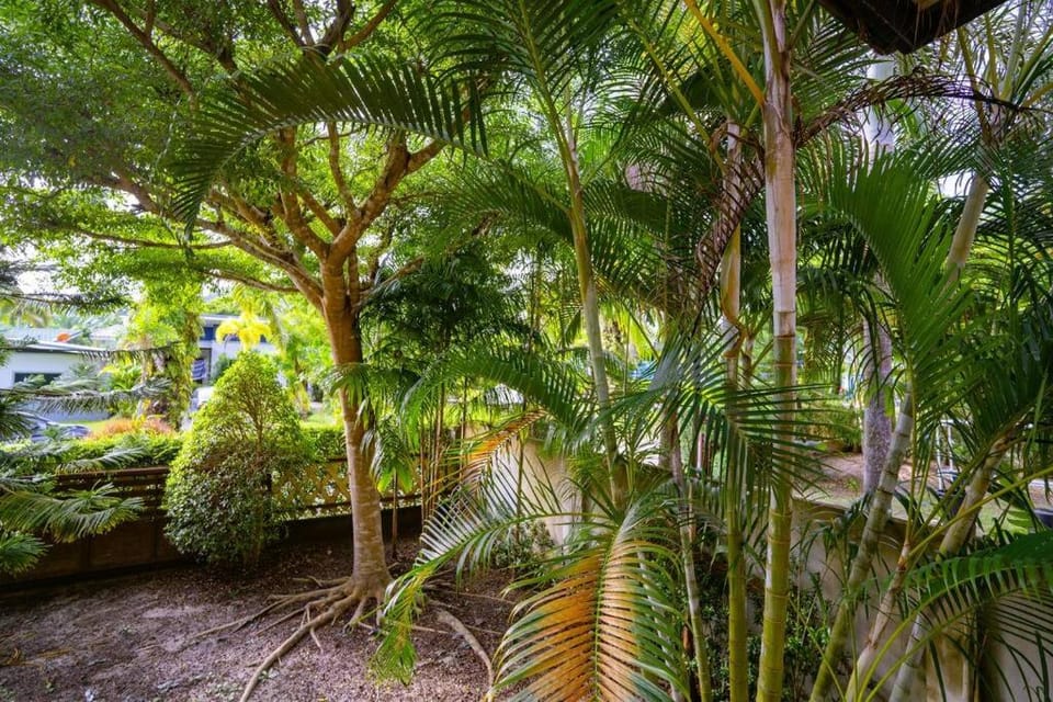 Garden, Garden view