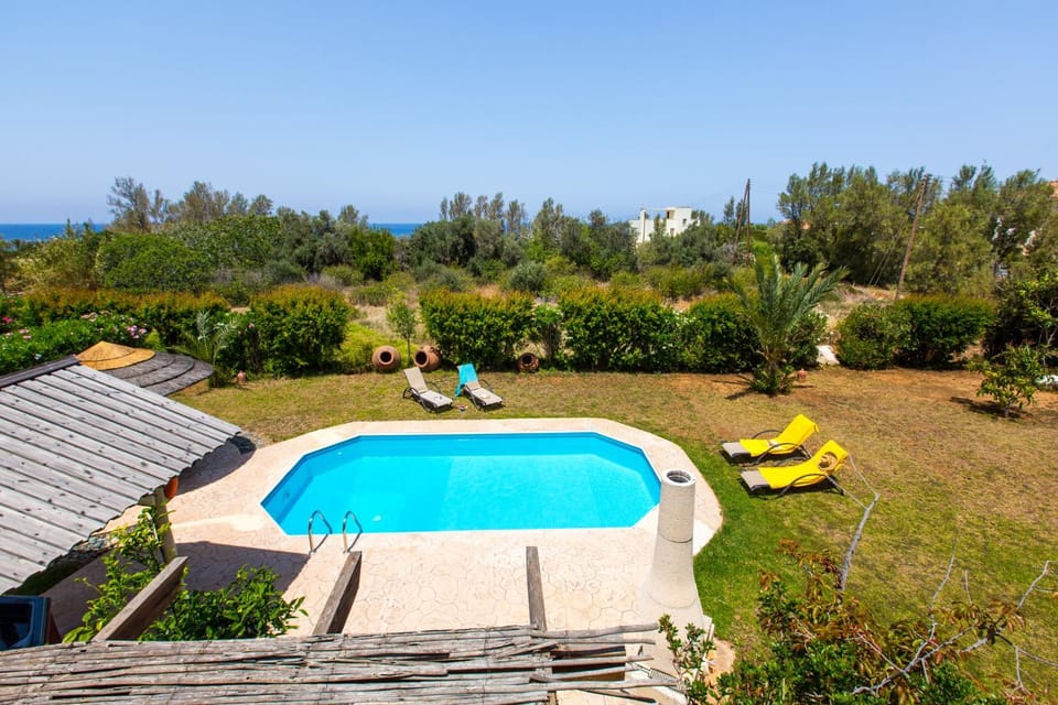Natural landscape, Garden, Pool view, Swimming pool, sunbed