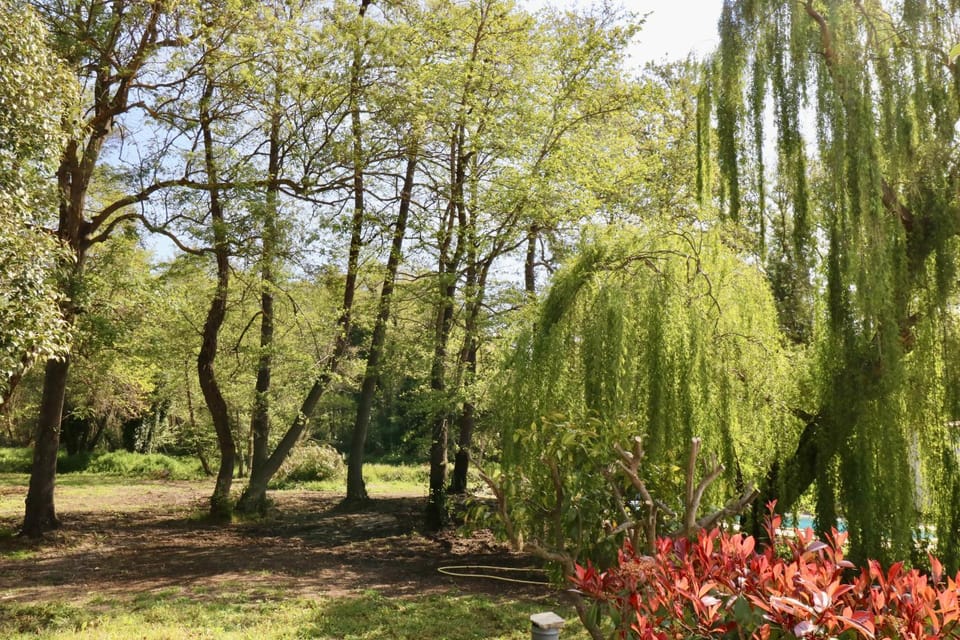 View (from property/room)