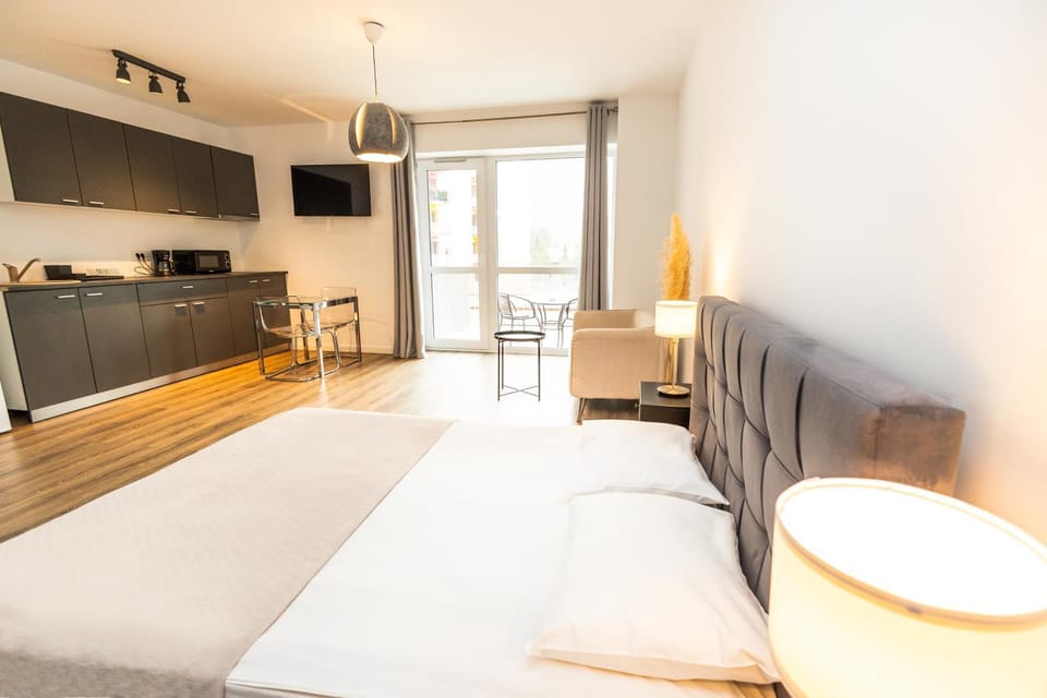 Walter Studio Sinaia with Balcony and Private Parking Apartment in Sinaia