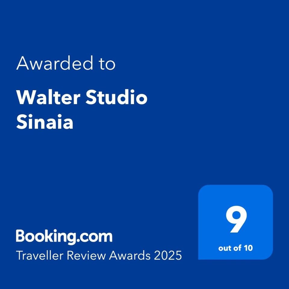 Walter Studio Sinaia with Balcony and Private Parking Apartment in Sinaia