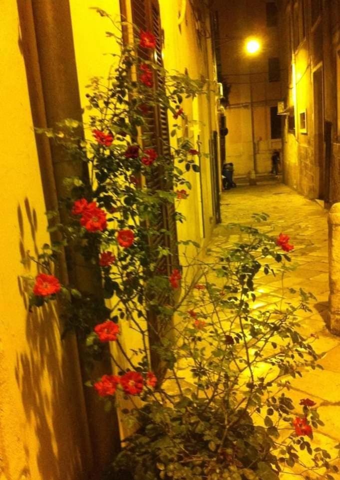 Malvasia rooms Apartment in Brindisi