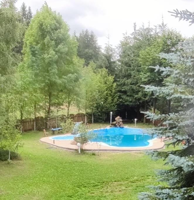 Cabanita House in Brașov County