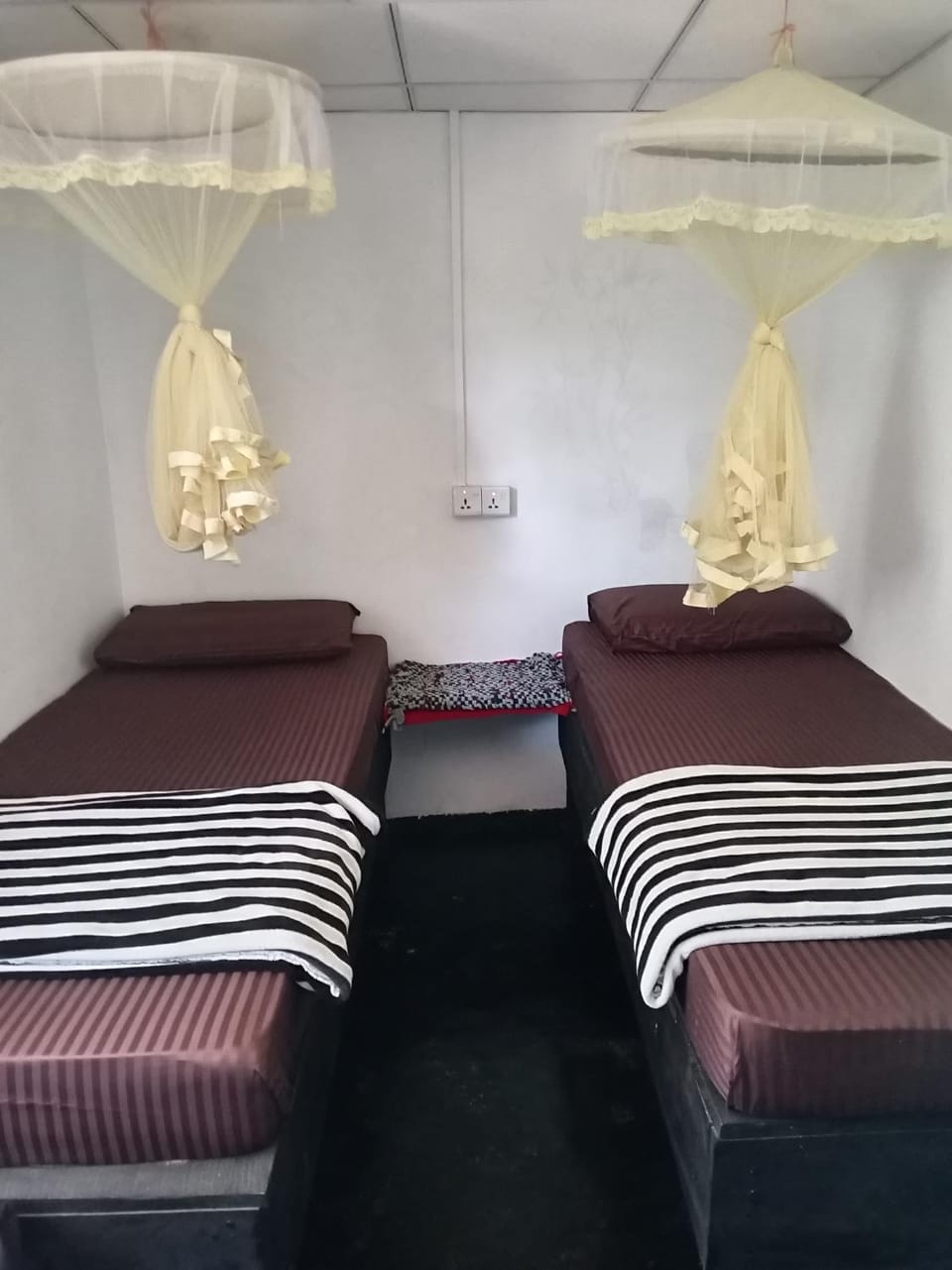 Cozy House Hostel Hostel in Ella