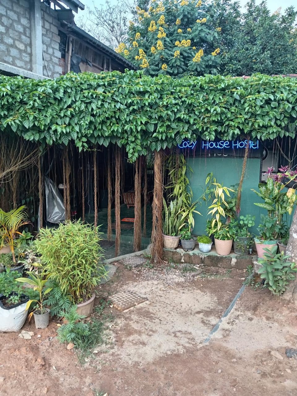 Cozy House Hostel Hostel in Ella