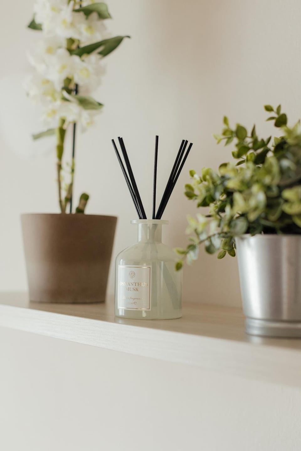 APPARTAMENTO ACACIA Apartment in Imola