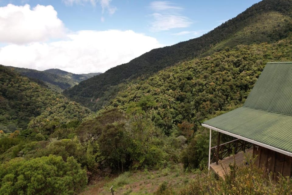 Quetzal Valley Cabins Cabin in Cartago Province, Costa Rica