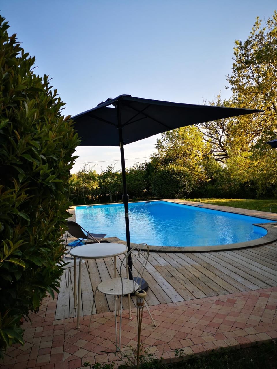 Garden, Swimming pool