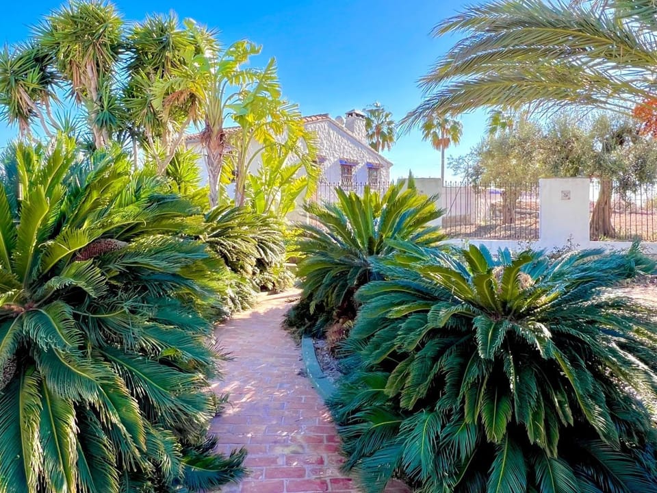 Finca Sol - Adults only Apartment in Marina Alta