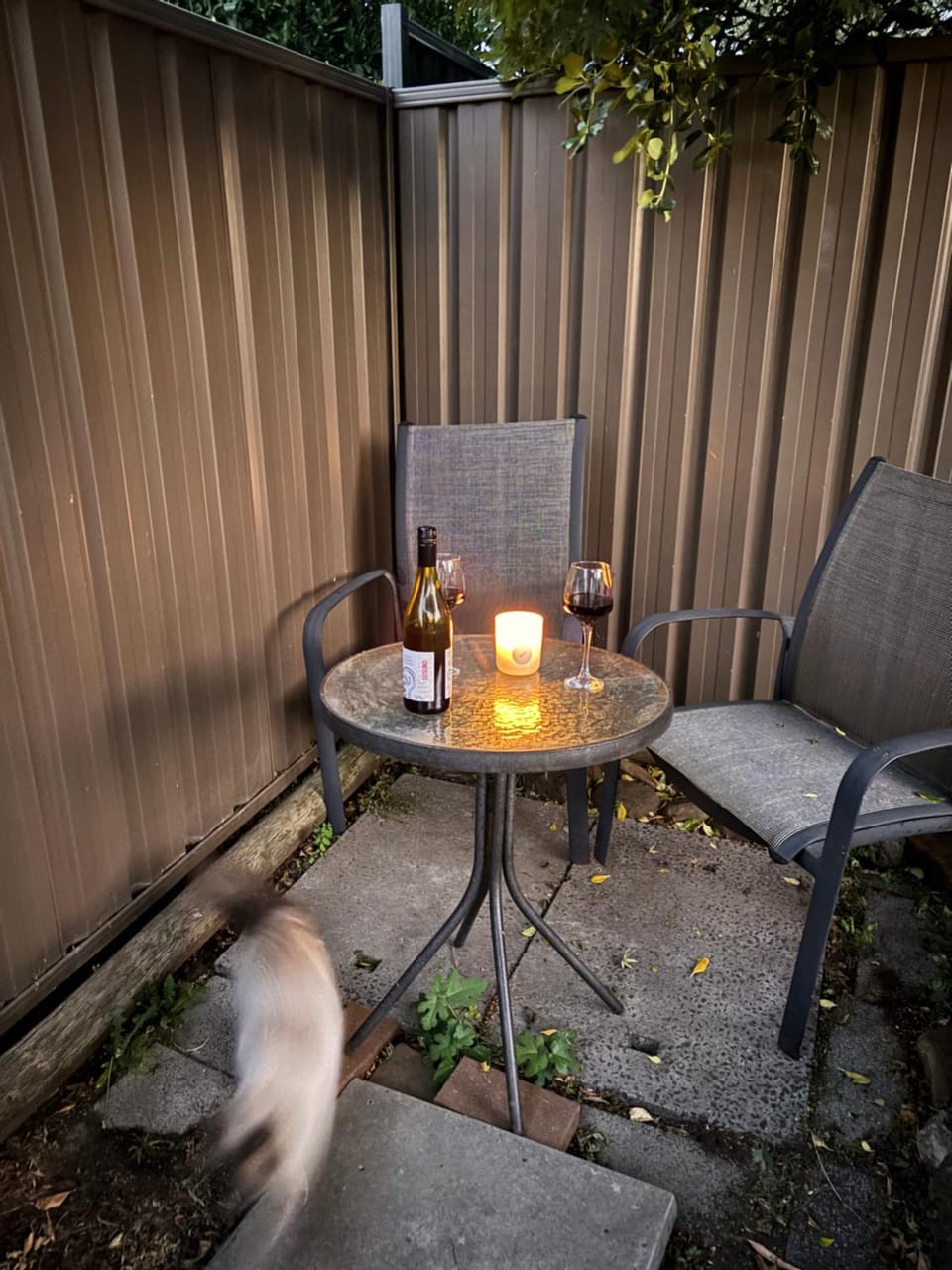 Guest ensuite room with private entrance Bed and Breakfast in Melbourne