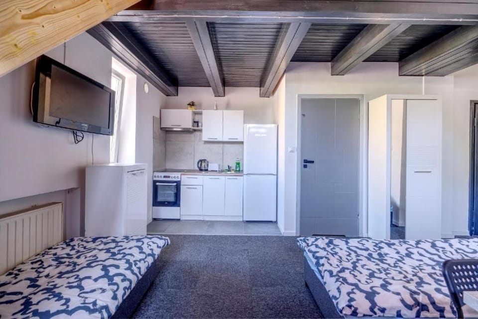 Bed, TV and multimedia, Kitchen or kitchenette, Bedroom, pet friendly, stove