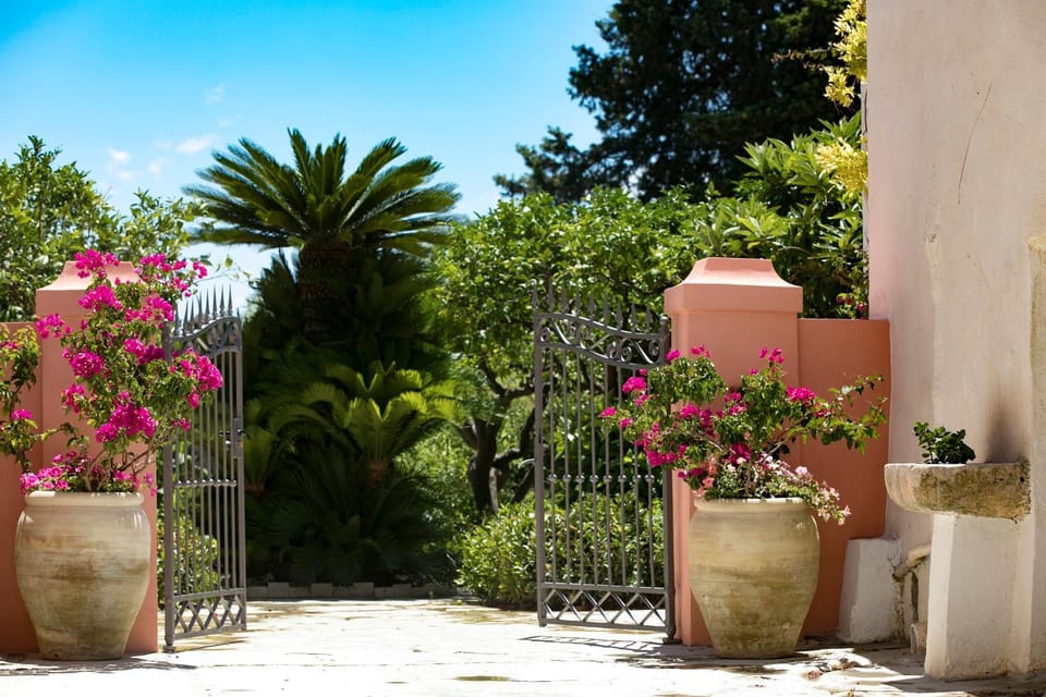 Spring, Garden, Garden view