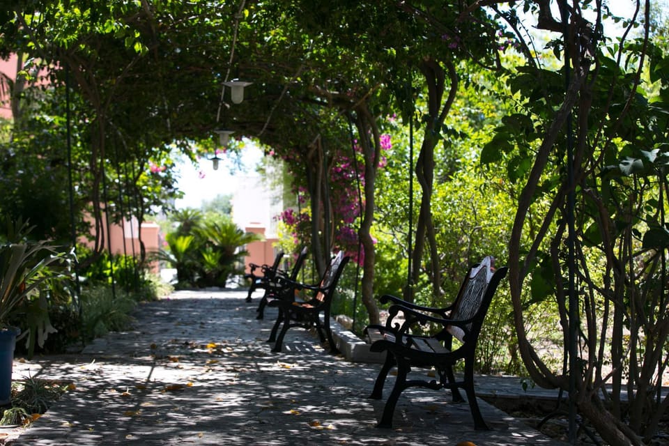 Spring, Garden, Garden view