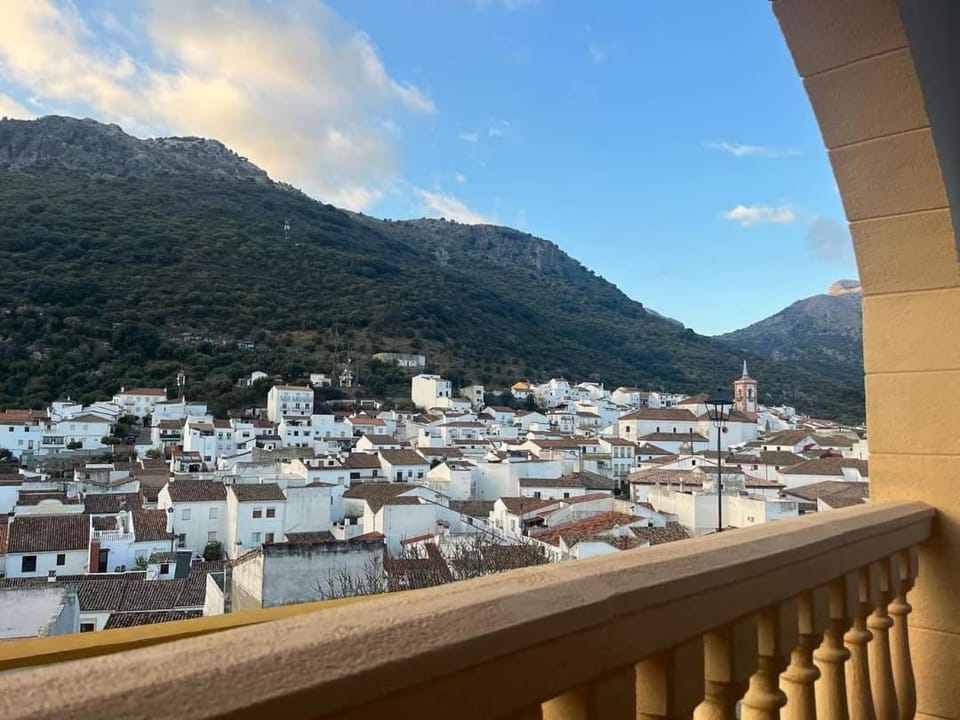 View (from property/room)
