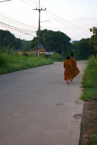 Quiet street view