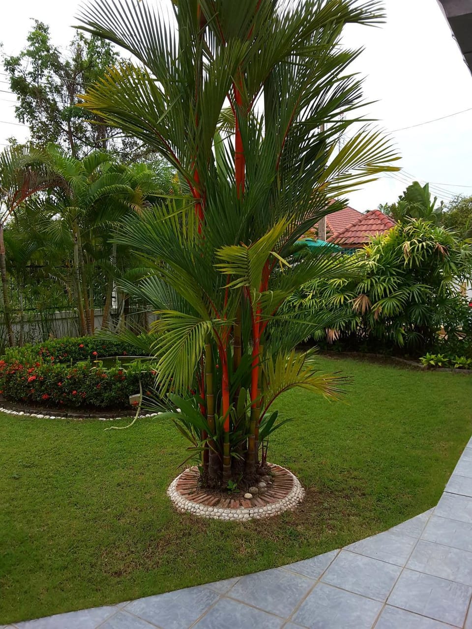 Garden, Garden view