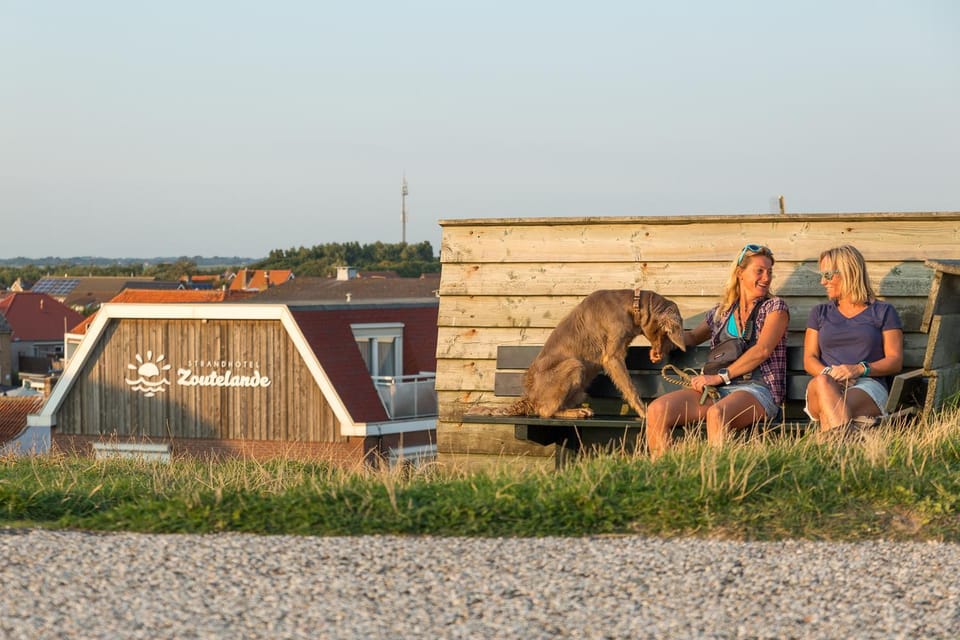 People, Animals