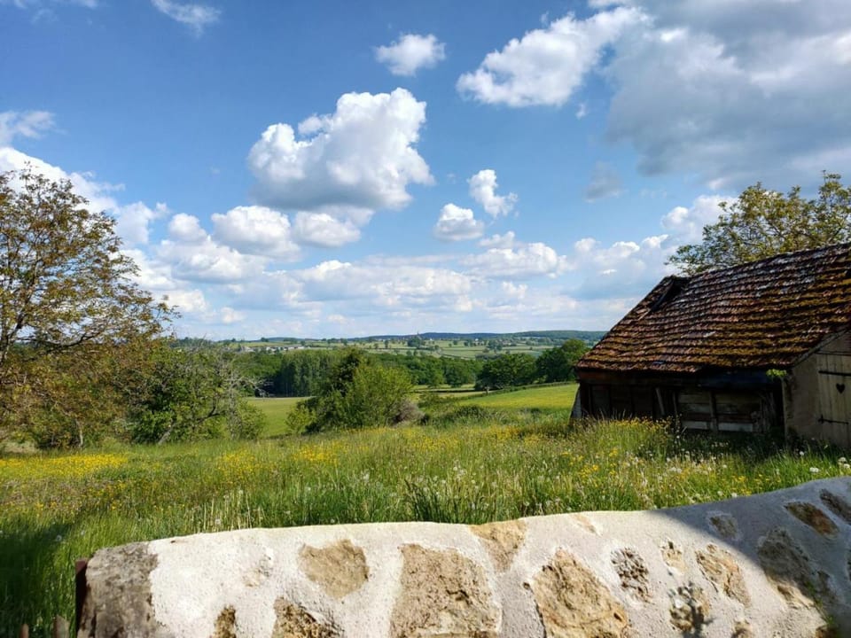 Natural landscape, Garden, Garden view
