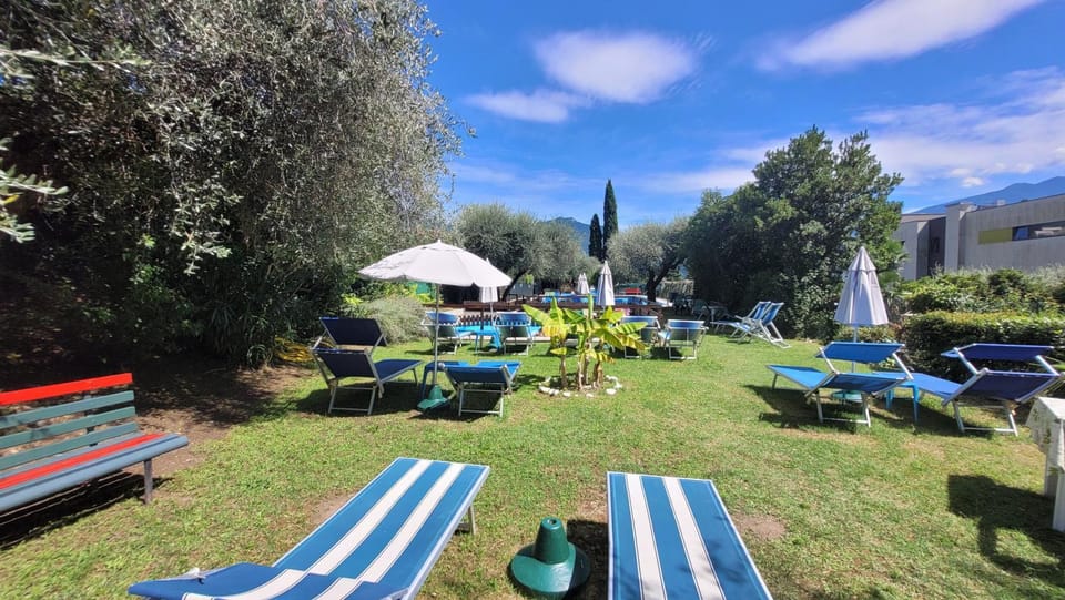 Garden view, sunbed