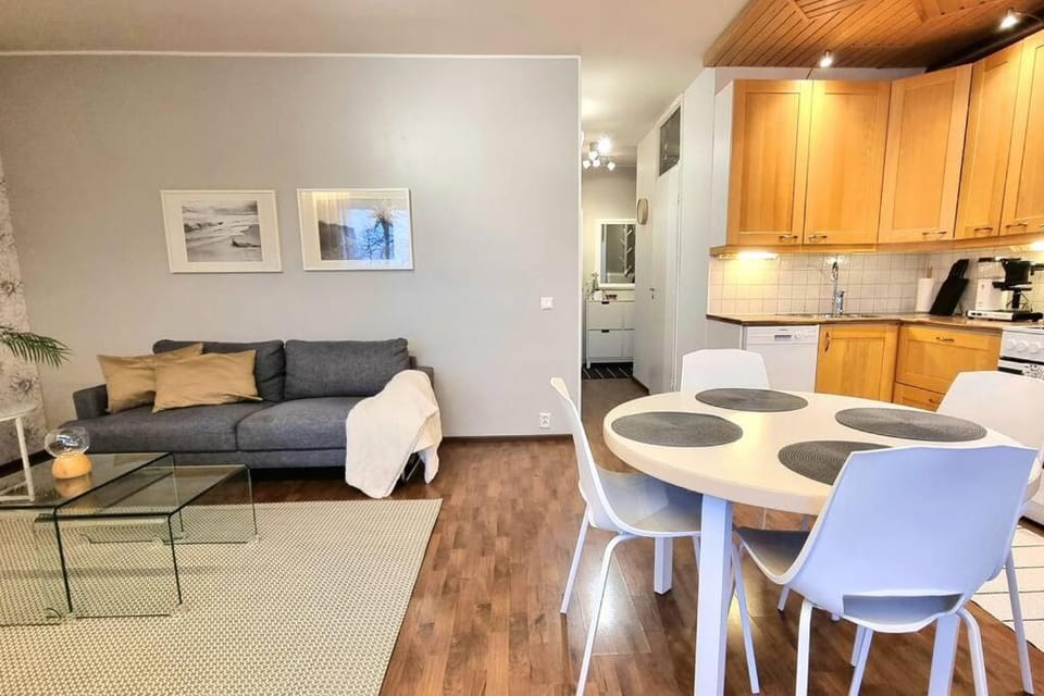 Kodikas ja viihtyisä kaksio keskustassa Apartment in Finland