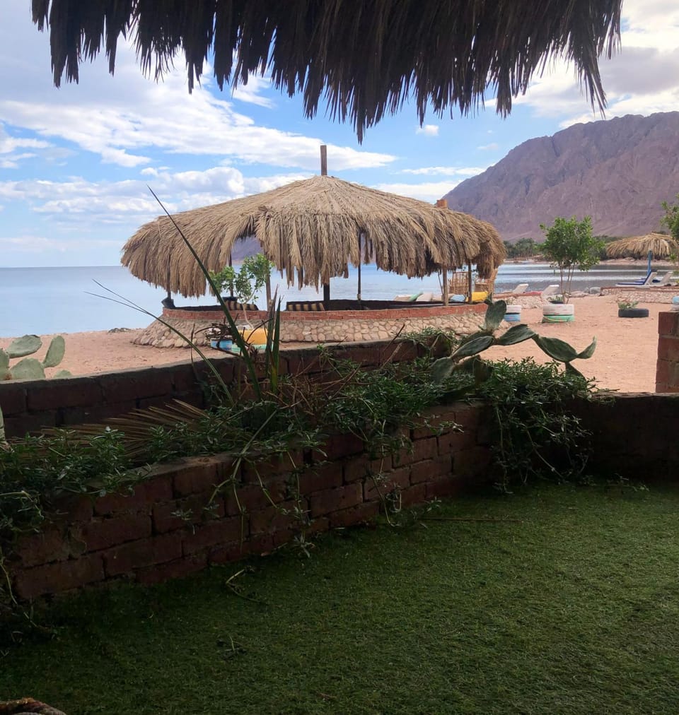 Day, People, Natural landscape, Beach, Sea view, group of guests