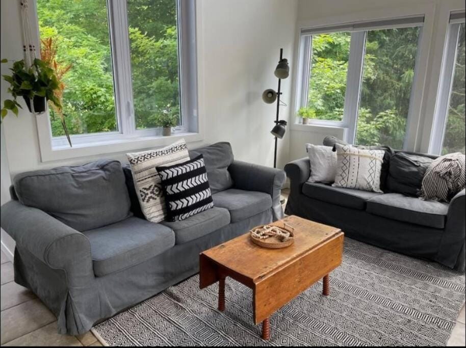 Living room, Seating area