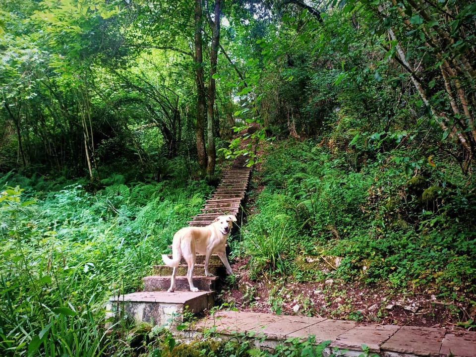 Natural landscape, Hiking