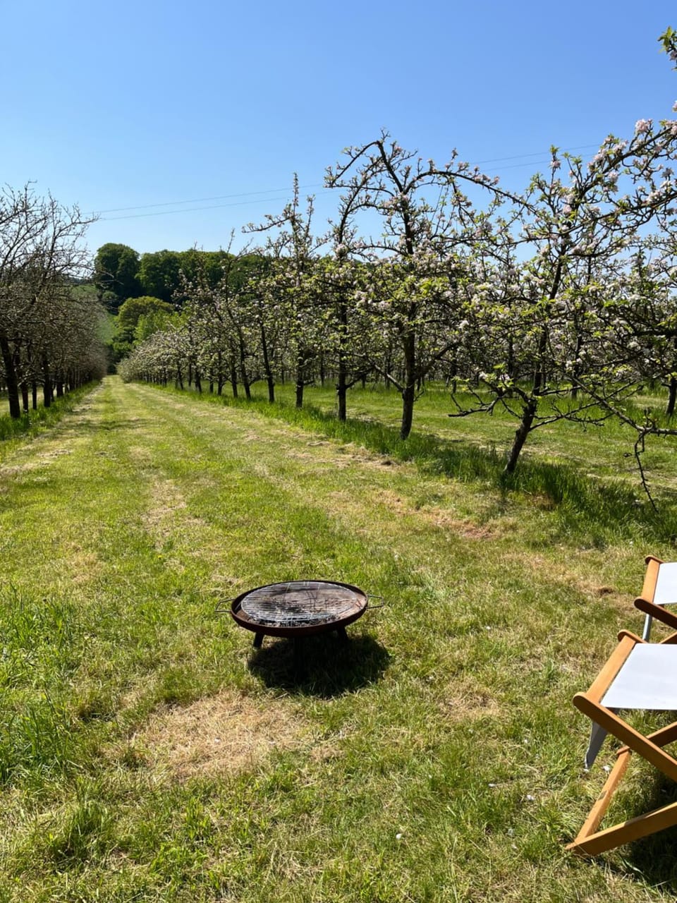 Spring, Day, Natural landscape, BBQ facilities, Garden, Evening entertainment, Garden view