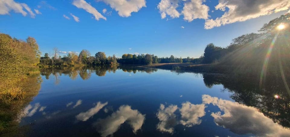 Lake view