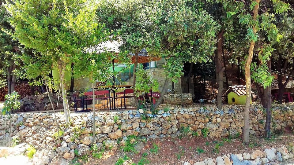 Day, Natural landscape, Garden, Garden view