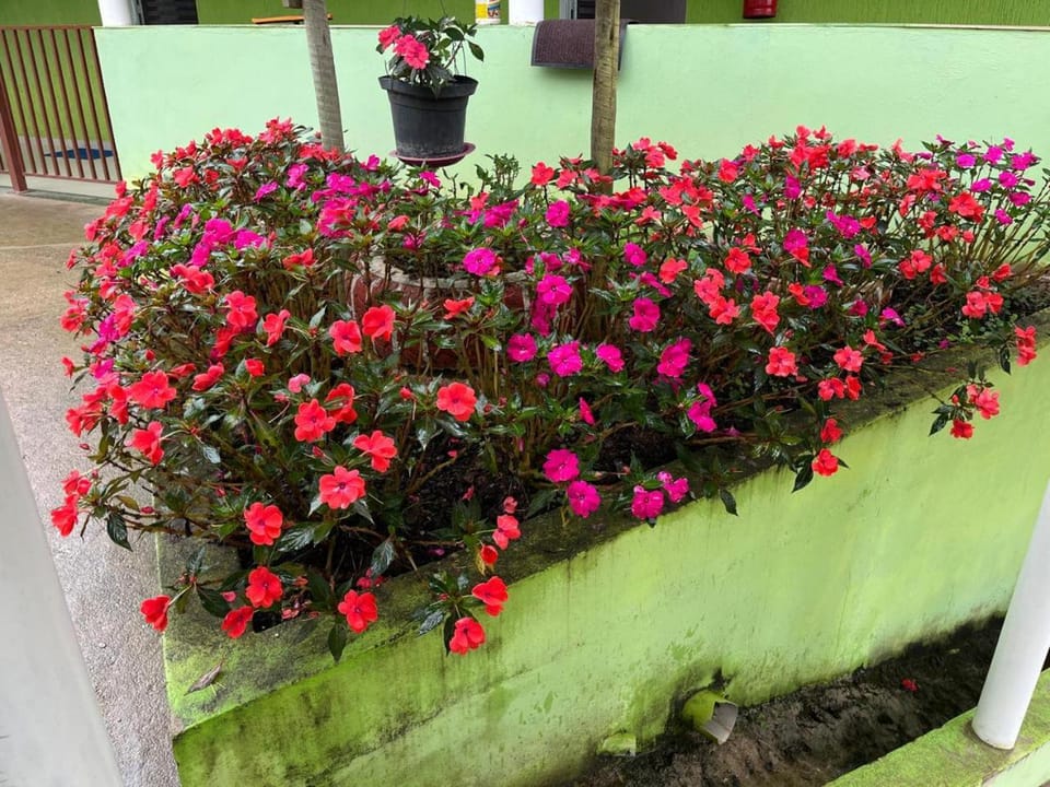 Pesqueiro Restaurante e Pousada Pingo de Ouro Nature lodge in State of São Paulo