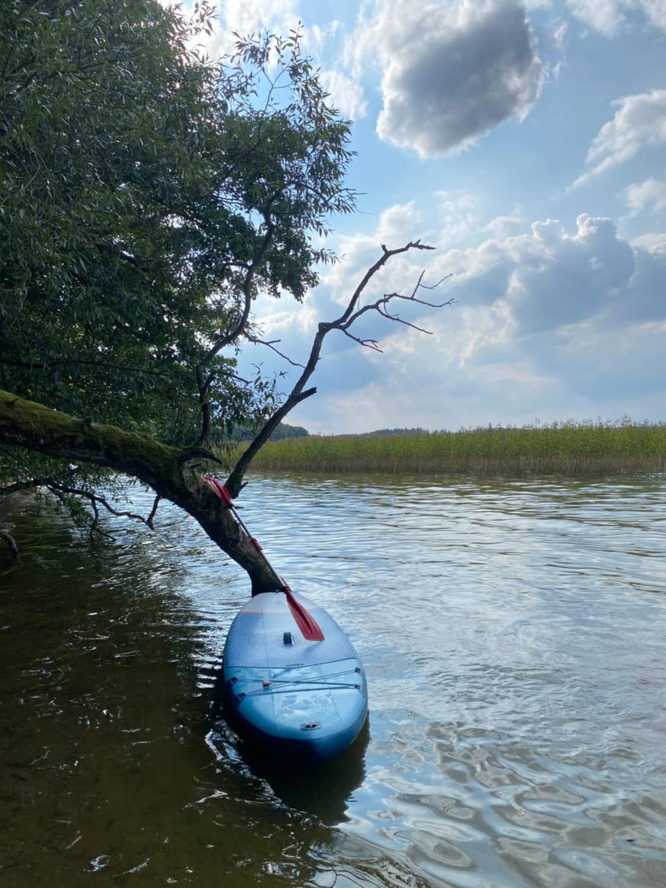 Natural landscape, Activities, Lake view