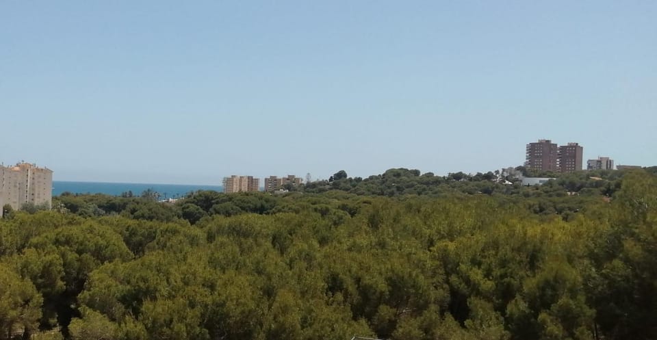 Sea view