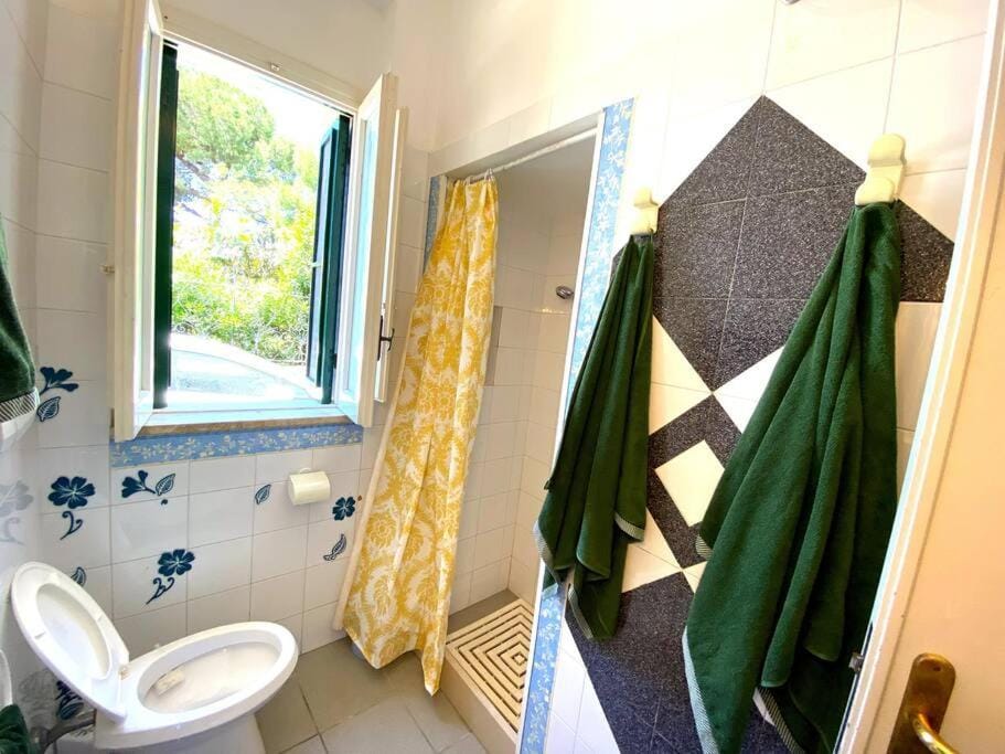 Shower, Toilet, Bathroom, towels