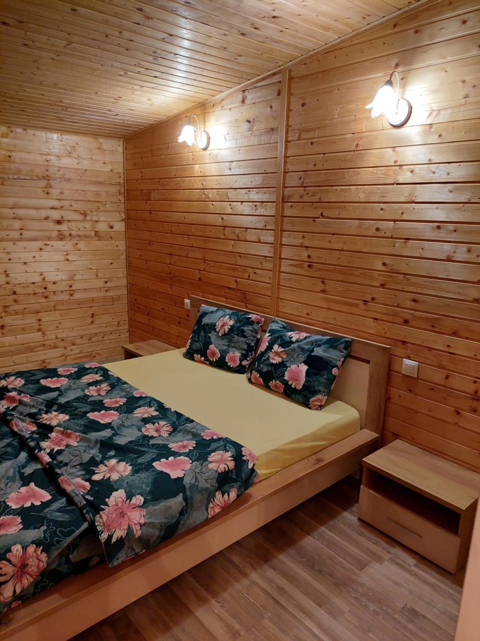 Cabana Oprișor House in Romania