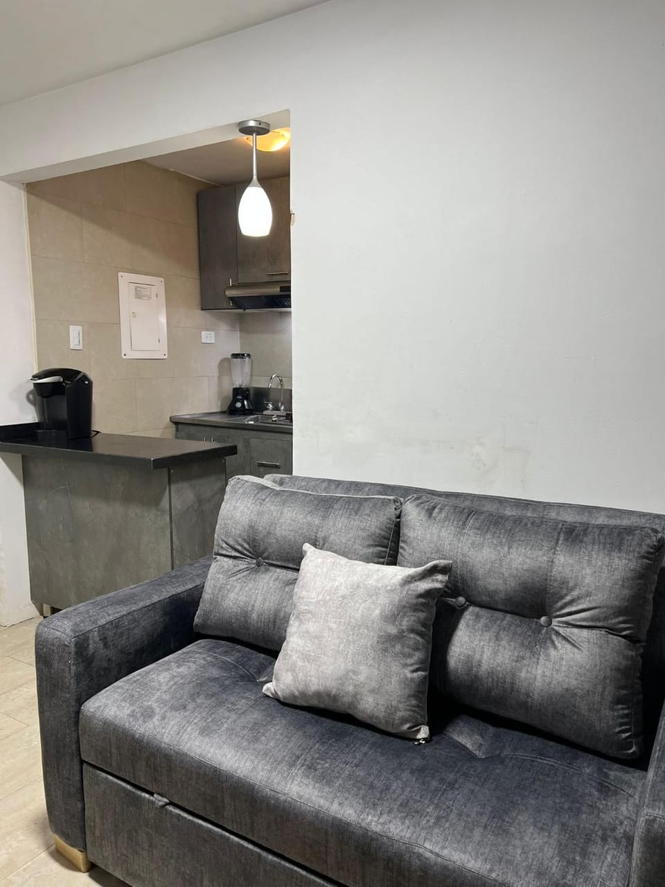 Kitchen or kitchenette, Living room