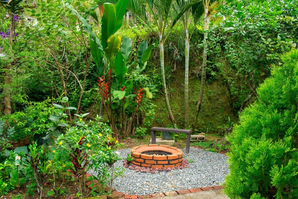 Spring, Garden, Garden view