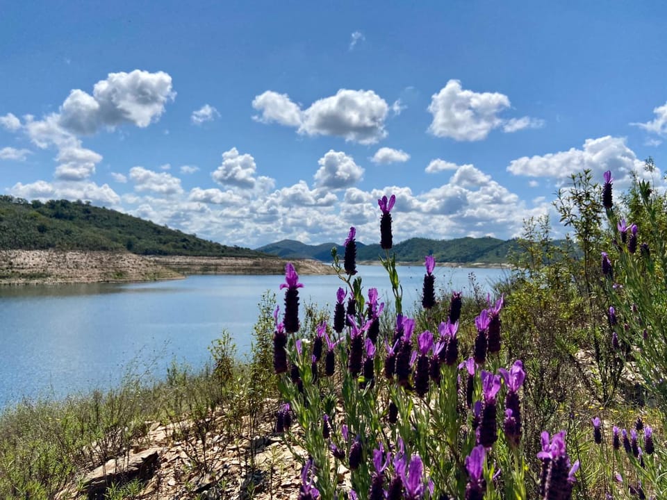 Natural landscape, Lake view, Mountain view, River view