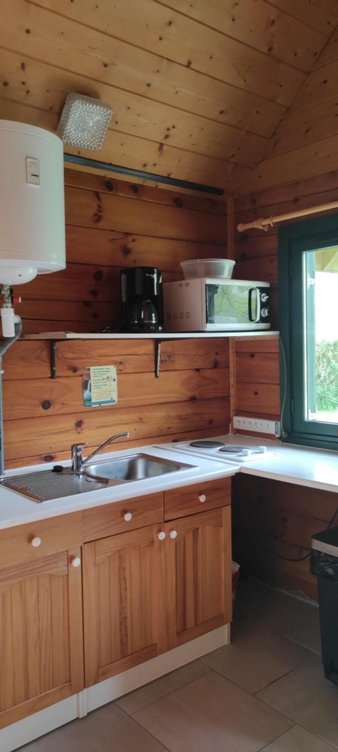 Kitchen or kitchenette, kitchen