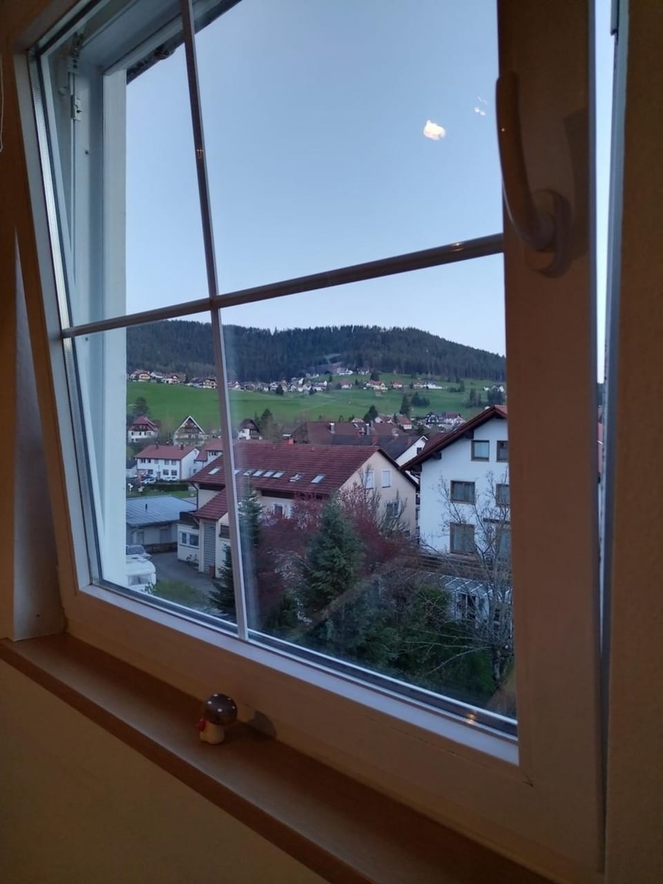 Ferienwohnung Bergmosisblick Apartment in Ortenau