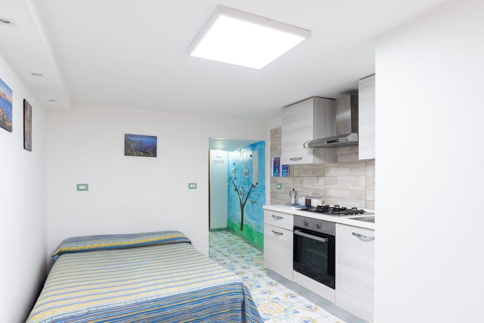 Bed, Kitchen or kitchenette, Photo of the whole room, Bedroom, minibar, oven, stove